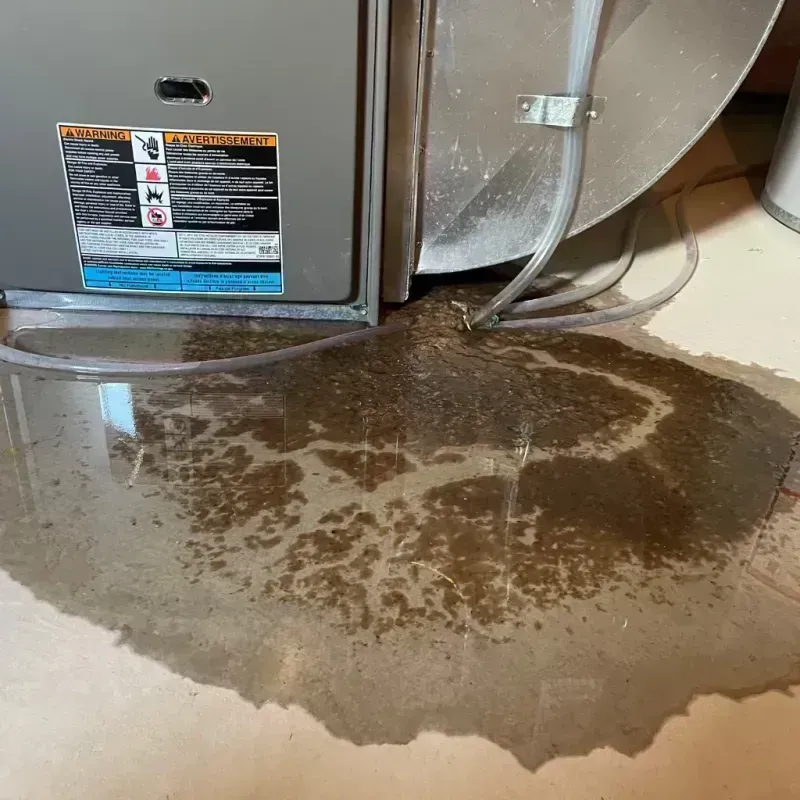 Appliance Leak Cleanup in Olivehurst, CA